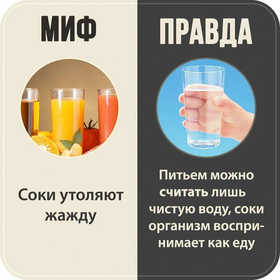 Миф использование. Миф правда. правда или миф. мифы о питании. мифы и реальность.