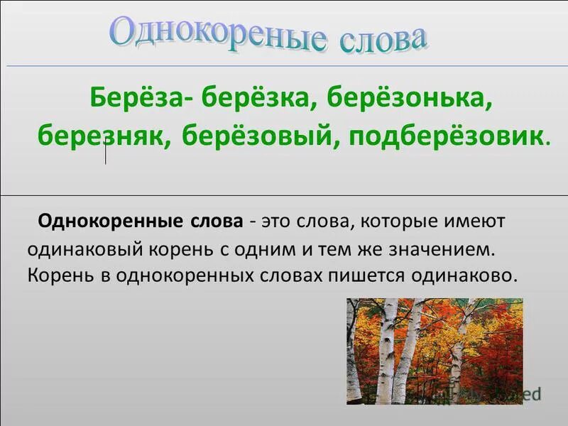 Три березы текст. Слово береза. Берёза однокоренные слова. Проект о слове береза. Однокоренные со словом береза.