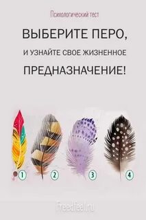 Тест пера