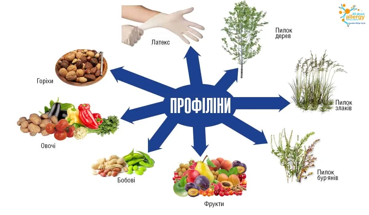 Банан при крапивнице. Основные аллергены. основные аллергены у детей. аллергия на банан перекрестная. аллергия на банан перекрестная аллергия.