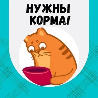 Нужен корм