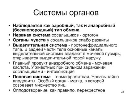 Нервная система сосальщиков