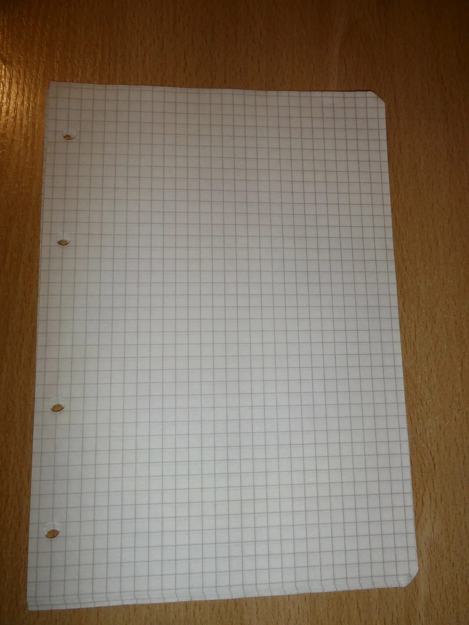 Лист тетради в клетку. Лист в клетку. Тетрадный лист а4. Тетрадь в клетку. Лист тетради.