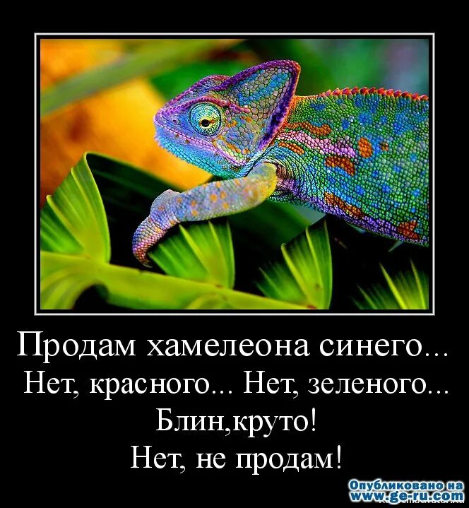 Зеленый цитаты