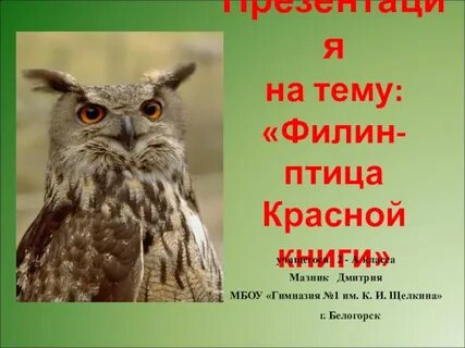 Книга филинов