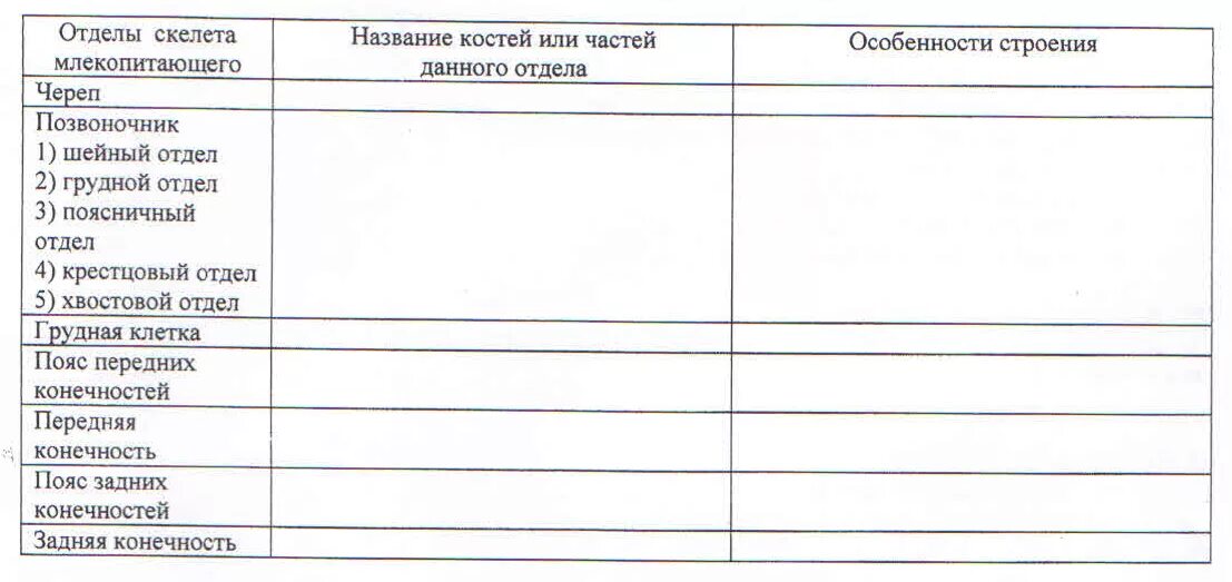 Таблица скелет млекопитающего 10 класс биология. Отдел скелета особенности строения функции таблица млекопитающие. скелет млекопитающих таблица. таблица отдел скелета строение функции. отделы скелета млекопитающих таблица.