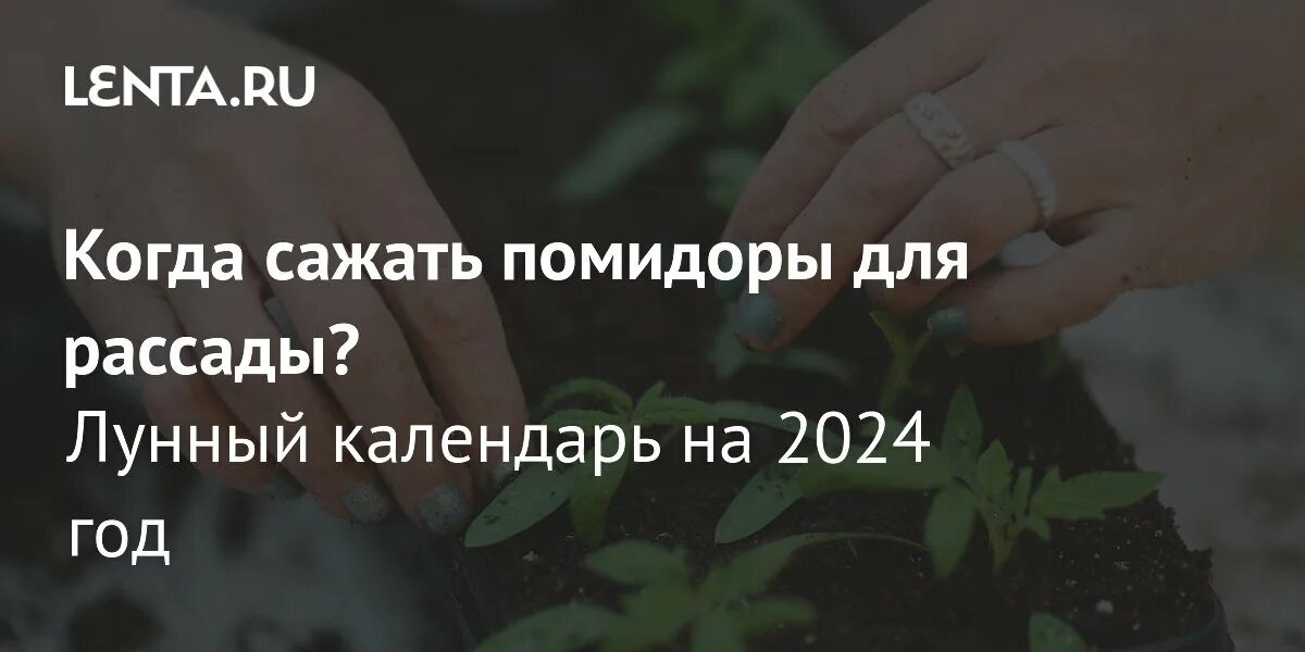 Когда сеять помидоры на рассаду лунный календарь. Когда садить помидоры на рассаду. Лунный календарь для посадки рассады. Когда сеять томаты на рассаду. Сроки посева семян на рассаду в средней полосе.