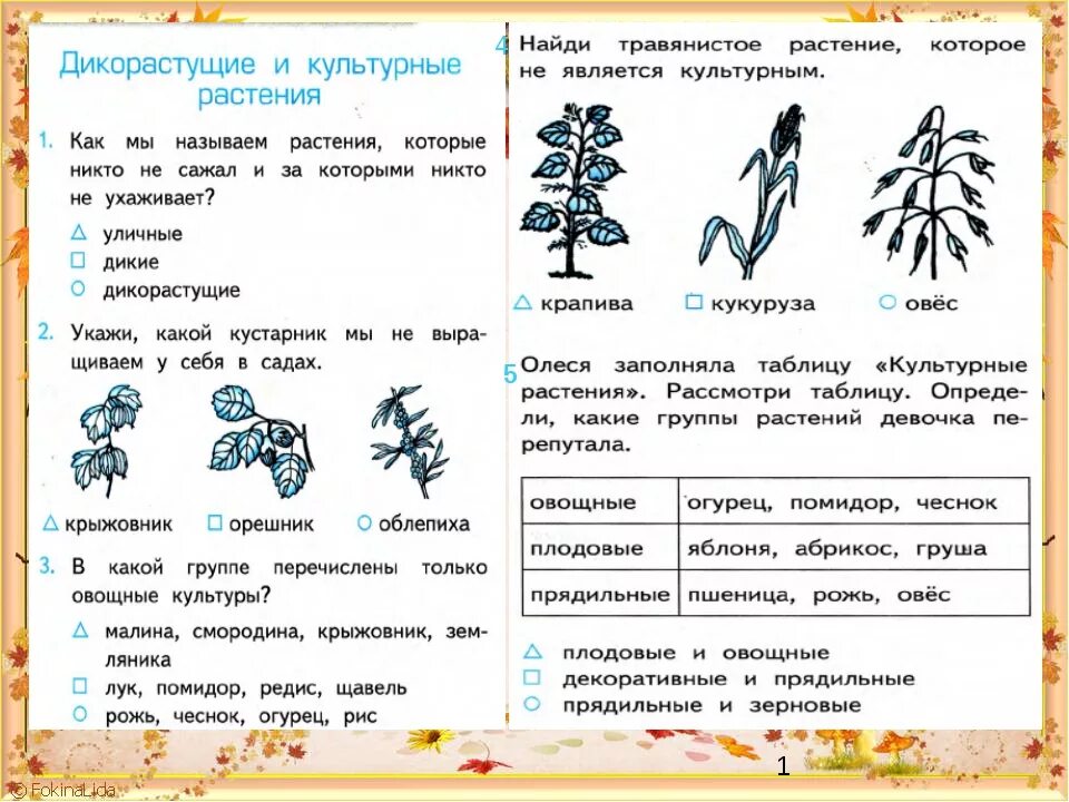 Контрольная работа по окружающему миру тест. Задания по окружающему 2 класс. Дикорастущие и культурные растения задания. Дикорастущие и культурные растения задания 2 класс. Темы по окружающему миру.