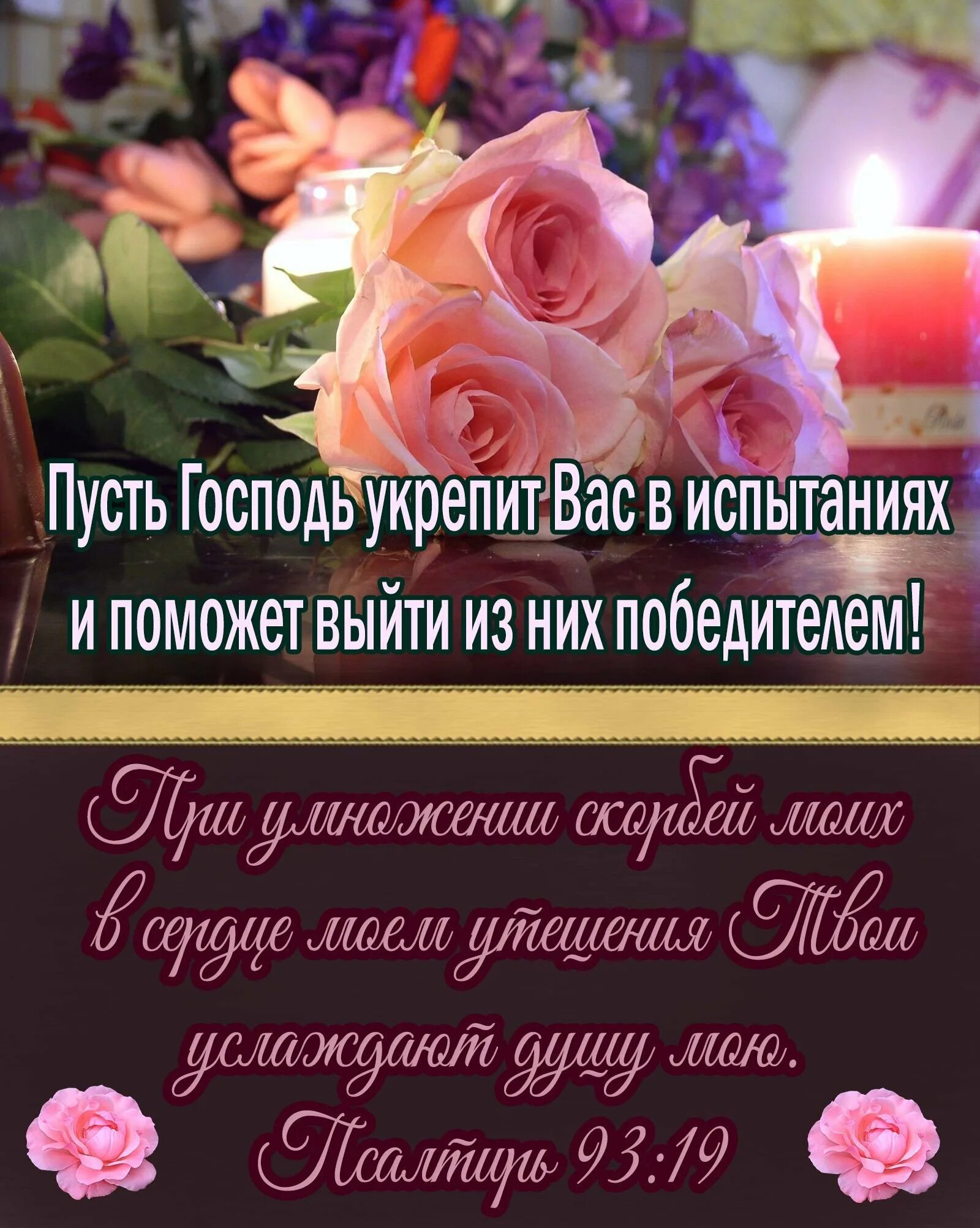 Стихи из библии. Библия пожелание на день. Открытки со стихами из библии. Христианские пожелания. Библия пожелание на день.