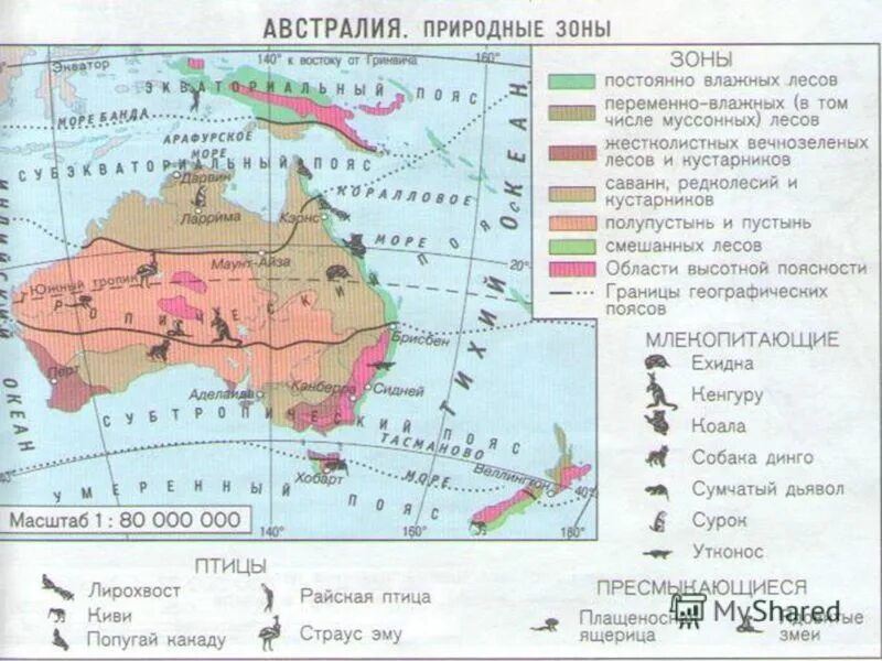 австралия природа кенгуру. основные природные зоны материка австралия. животные зоны австралии. животные зоны австралии. карта природных зон австралии.