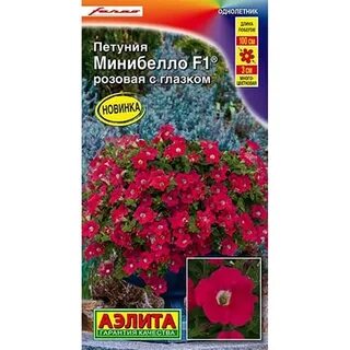 Петуния минибелла отзывы