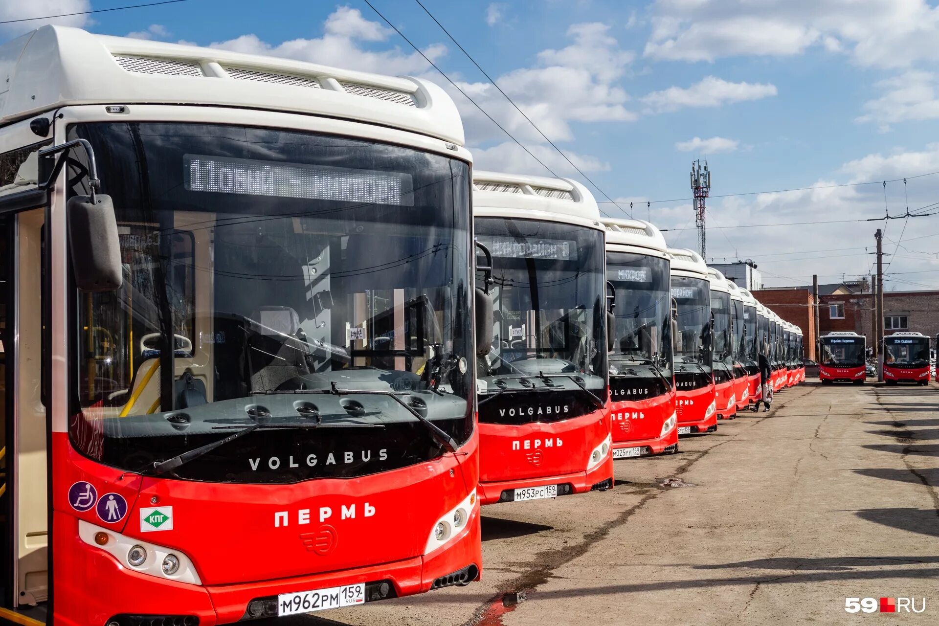 Изменения автобусов пермь. Волгабас пермь м826са. общественный транспорт перми. автотранспорт пермь. транспорт пермь трамвай.