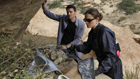 Watch Bones * Season 5 Full Episodes Online - Plex