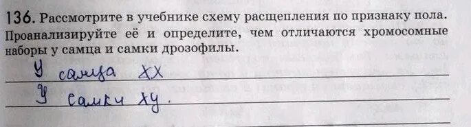 Рассмотрите в учебнике. Мы зрители и пассажиры 2 класс окружающий мир правила поведения. 81. Мы зрители и пассажиры 2 класс окружающий мир памятка распечатать. Рассмотрите в учебнике.