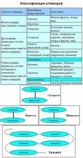 Классы углеводов таблица биология