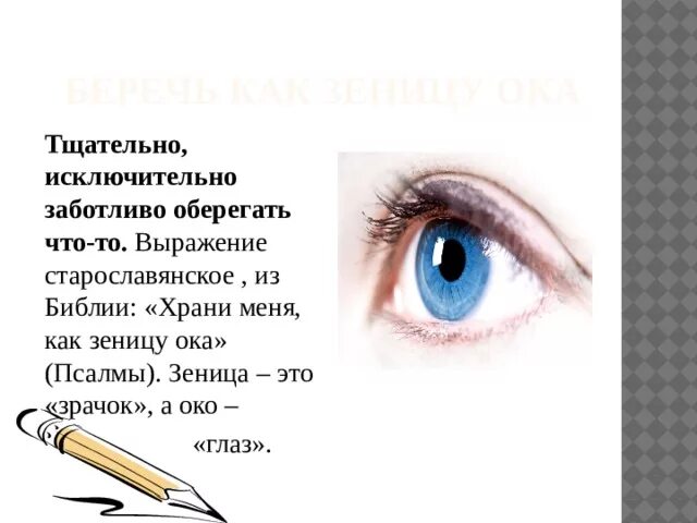 Беречь как зеницу око значение. Беречь как синица окая. Зеница Ока. Зеница Ока это фразеологизм. Беречь как зеницу Ока фразеологизм.