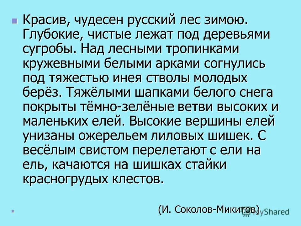 чистые сугробы лежат под деревьями. лежат под деревьями глубокие чистые сугробы синтаксический разбор. текст красив чудесен русский лес зимою. в тихий зимний день выйдешь в лес на лыжах дышишь и не надышишься. сочинение на тему зимнего леса.
