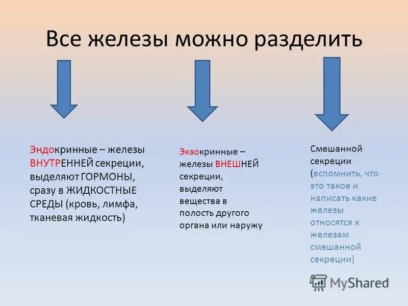 Железы внутренней и внешней секреции 8 класс