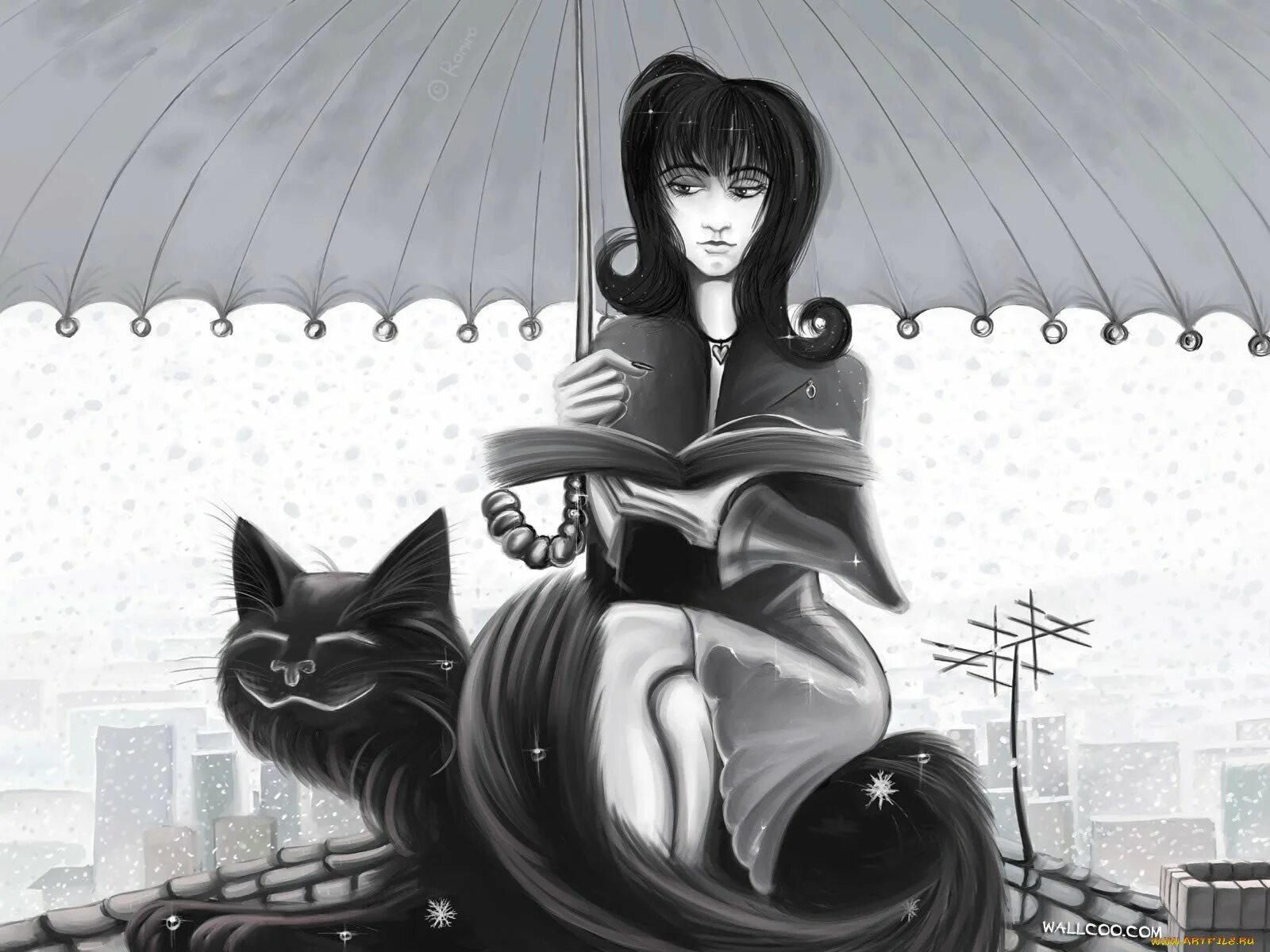Черный кот и девочка. Дама с кошкой. Женщина с котом. Дама с черным котом. Девушка с черным котом.