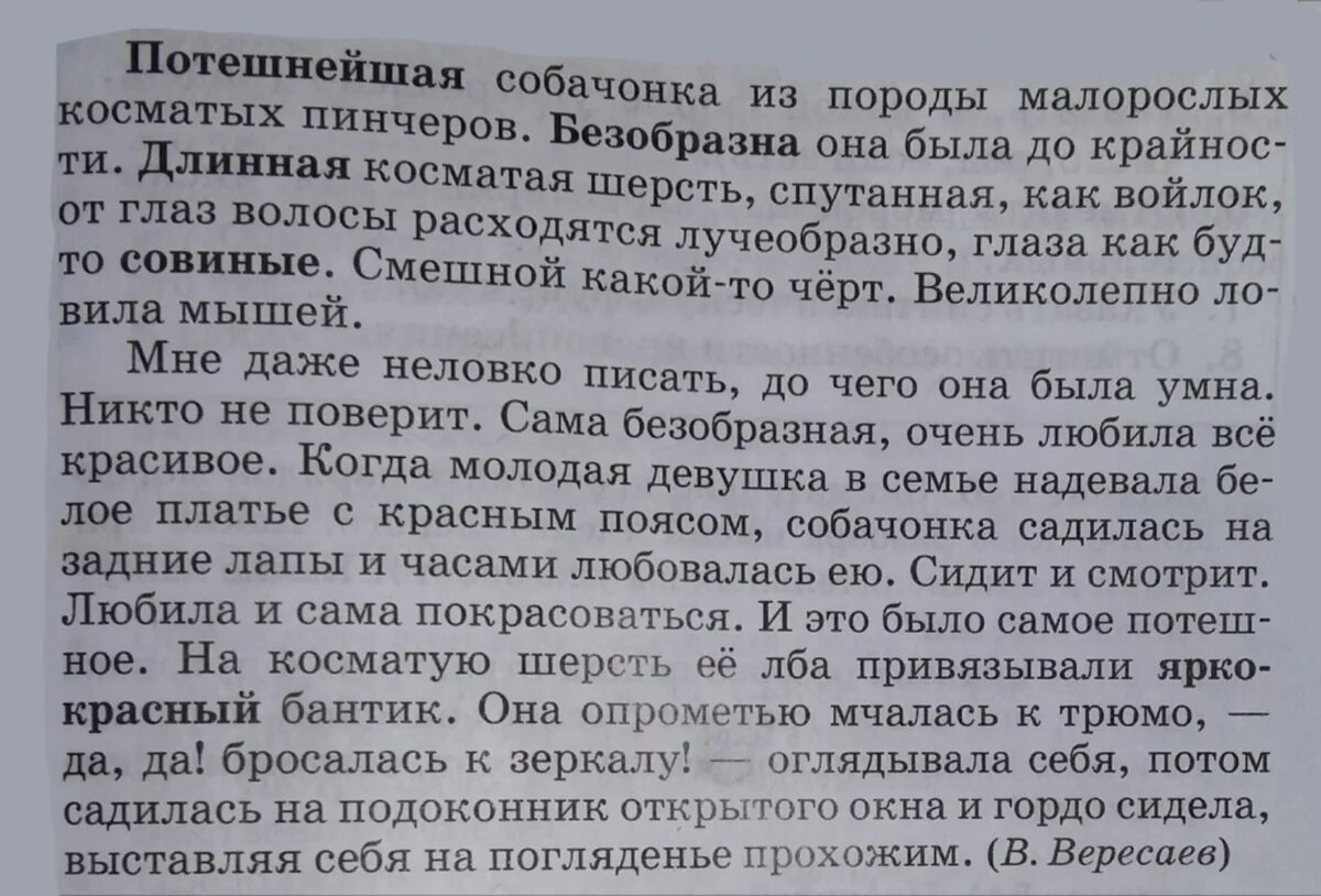 Я была хрупкой и малорослой. Прочитайте текст потешнейшая собачонка. Изложение Потешная собачонка. Ключевые слова текста потешнейшая собачонка. Оценочные слова в тексте потешнейшая собачонка.