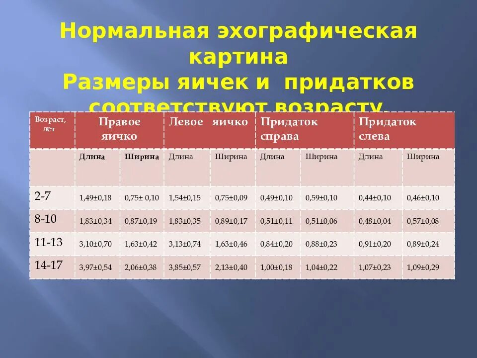 Размер яичек у мужчин. Размер яичек у мужчин. Размер яичек у мальчиков норма по возрасту. Размер яичек у мужчин. Узи мошонки норма размеры.