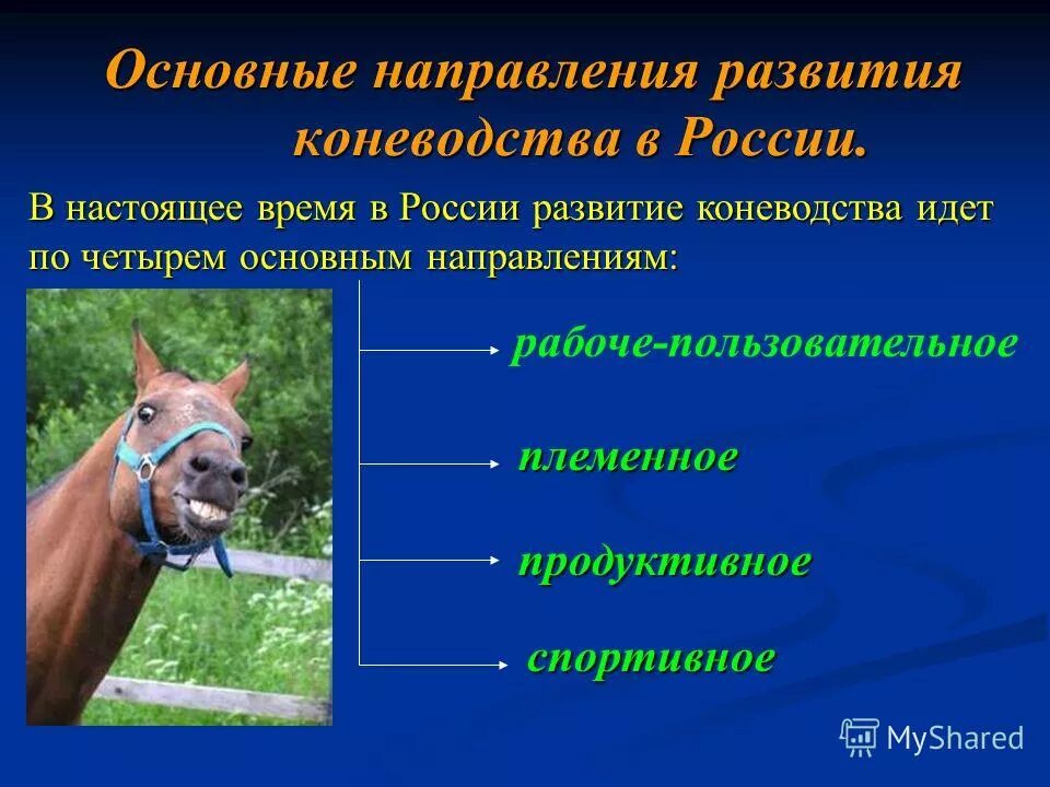 Организация инновационной деятельности в общеобразовательной школе. Выбранного направления в настоящее время. Зож организационные формы. Типы профессий. Дополнительное образование статистика.