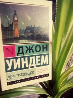 День триффидов книга