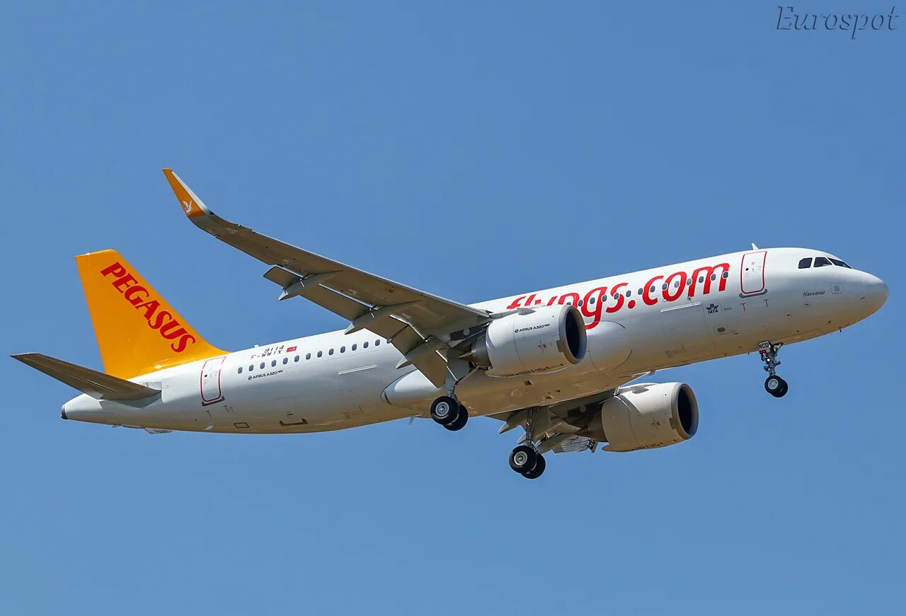 Авиалинии пегасус. Airbus a320-251n. пегасус авиакомпания стамбул. авиакомпания пегасус эйрлайнс. pegasus airlines airbus a320-251n.
