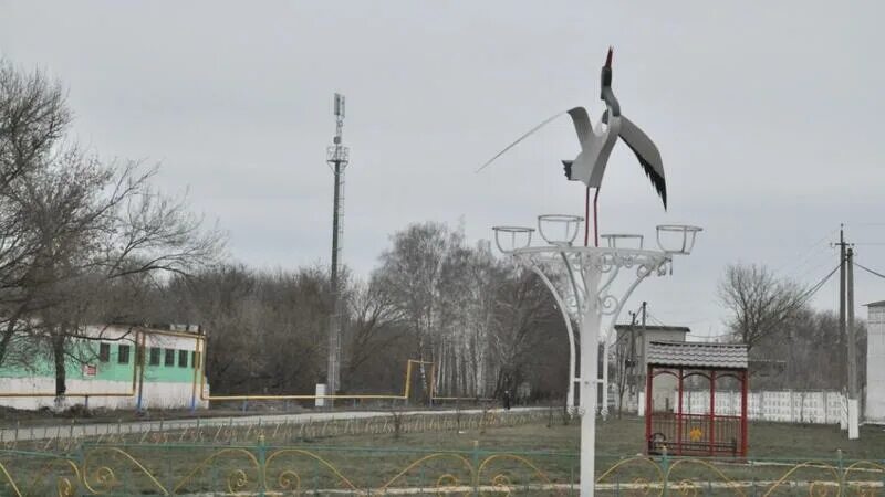 Береговое прохоровский район