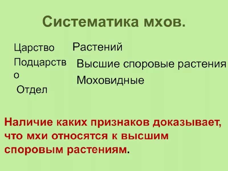 Царство мхов. Царство растения отдел моховидные отдел. систематика мхов. систематика растений мхи. систематическое положение мхов.