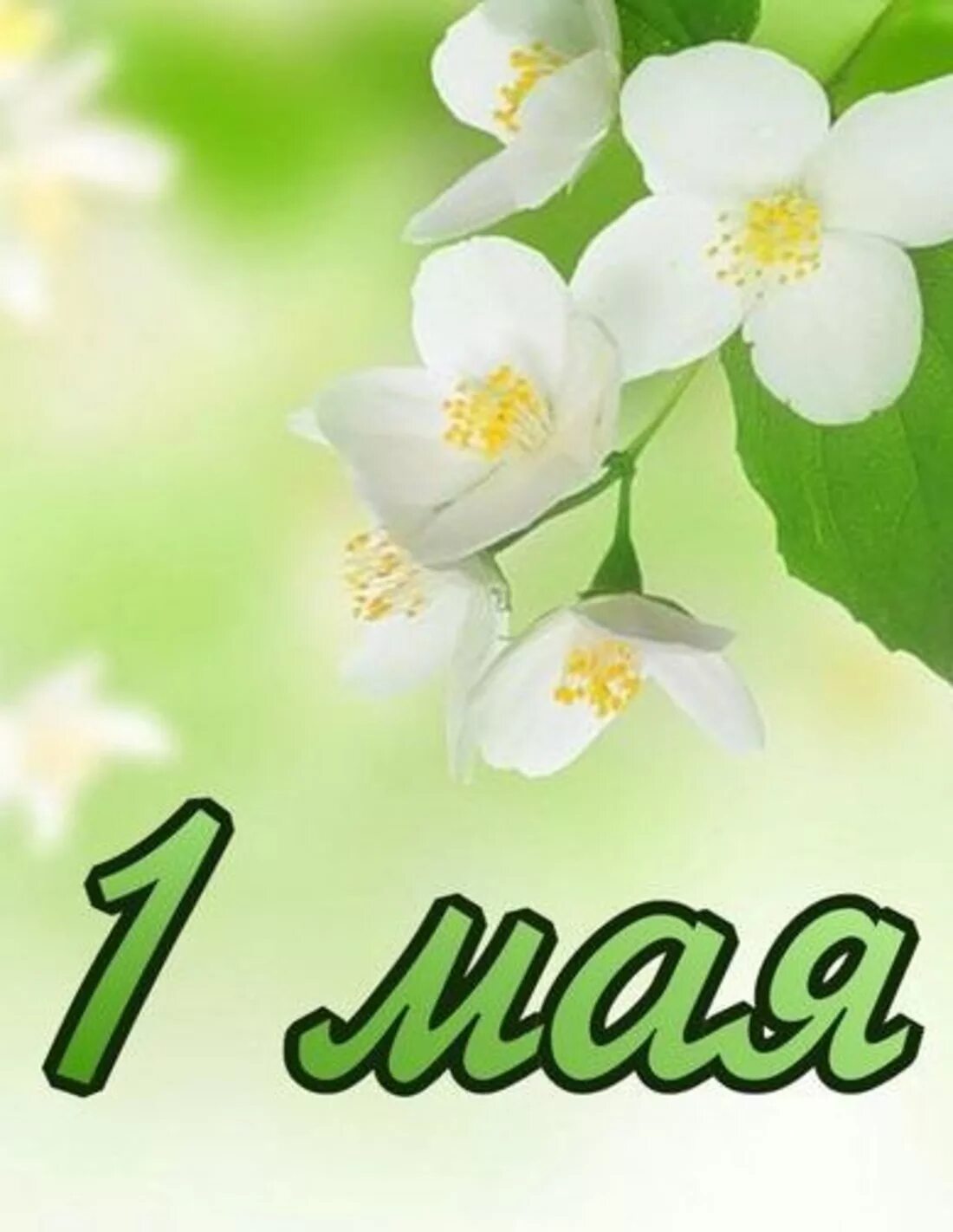 Мая без края. Поздравление с 1 мая. 1 Мая праздник. Май. 1 Мая цветы.