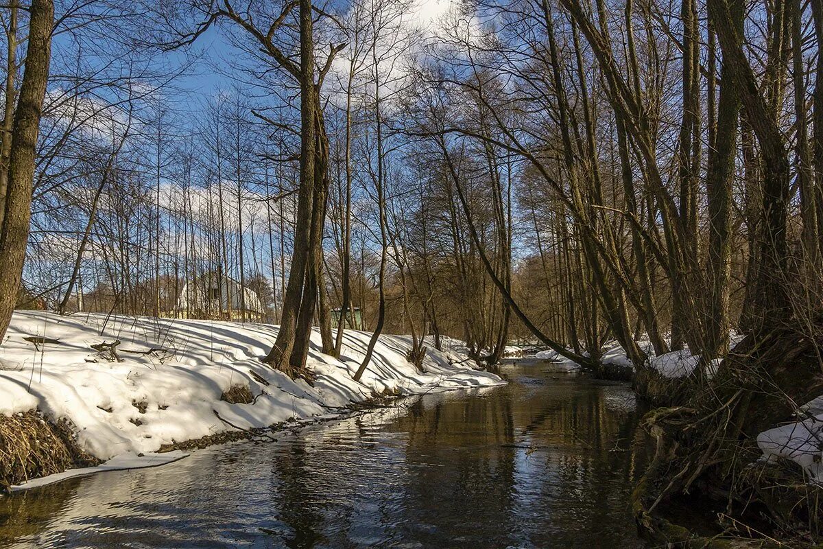 Река весной. Весенняя река. Речка весной. Весенняя река фото.