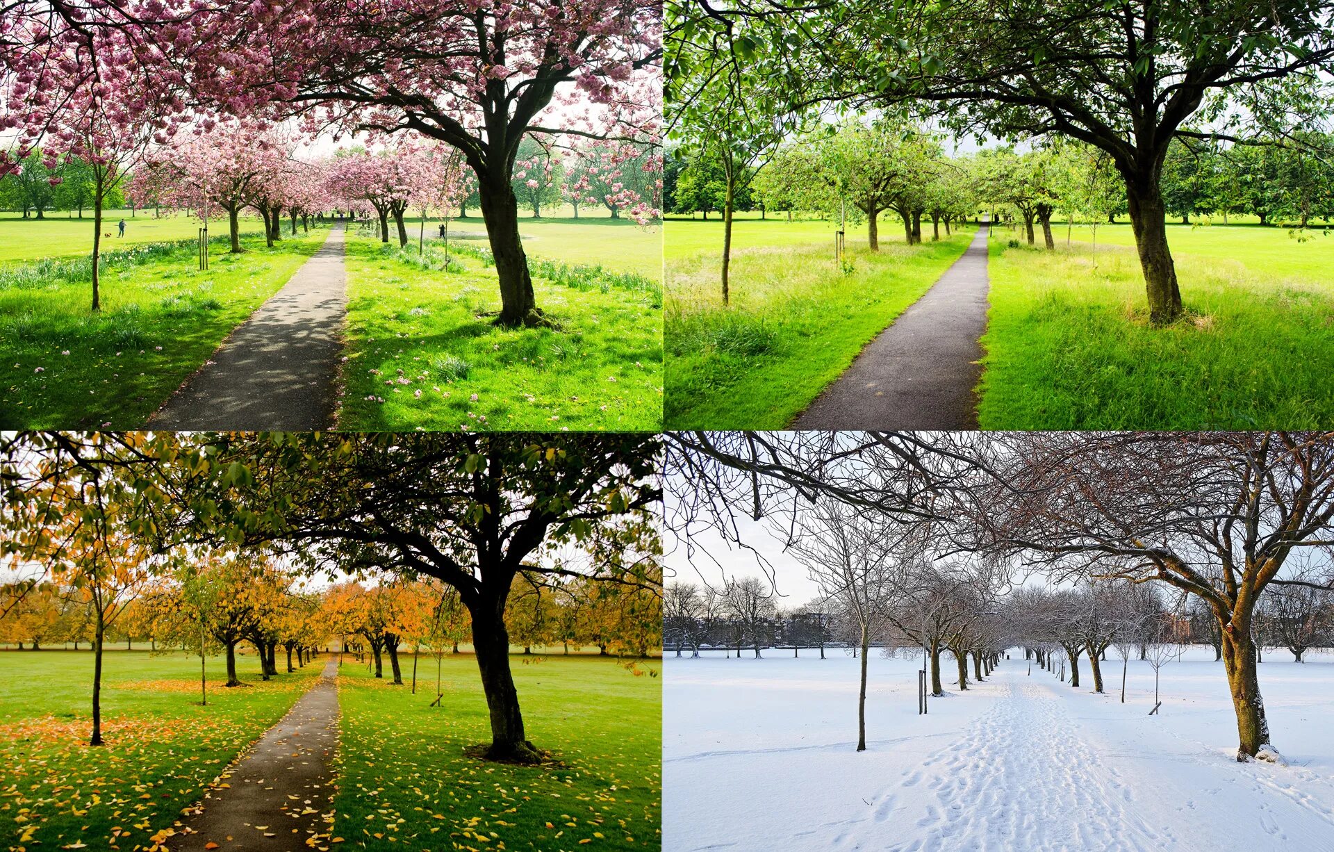 Spring is than winter. Зима,Весна,лето,осень. Сезонные пейзажи. Природа зима Весна лето осень. Пейзаж по временам года.