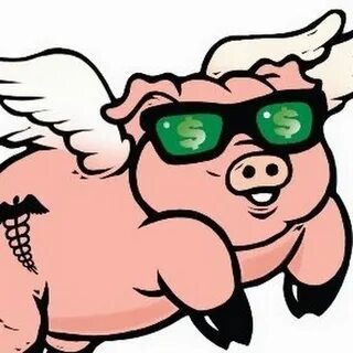 Flying pig