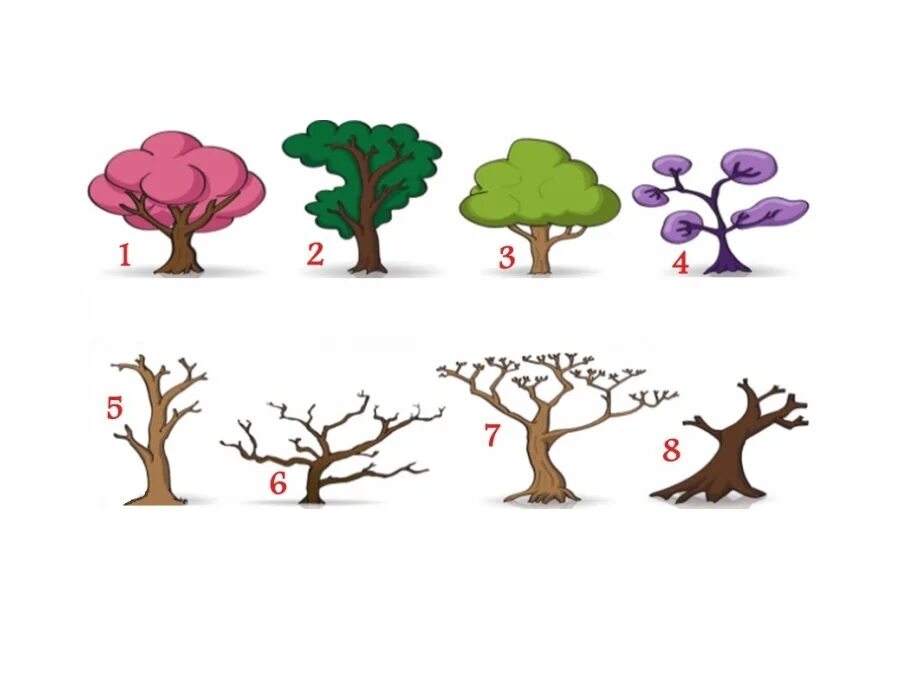 Выбирайте дерево и живите. Тест с деревьями в картинках. Психологическое дерево. Рисунок дерева тест. Графический тест дерево.