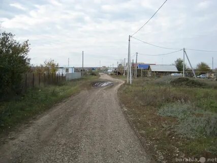Погода колокольцовка саратовская