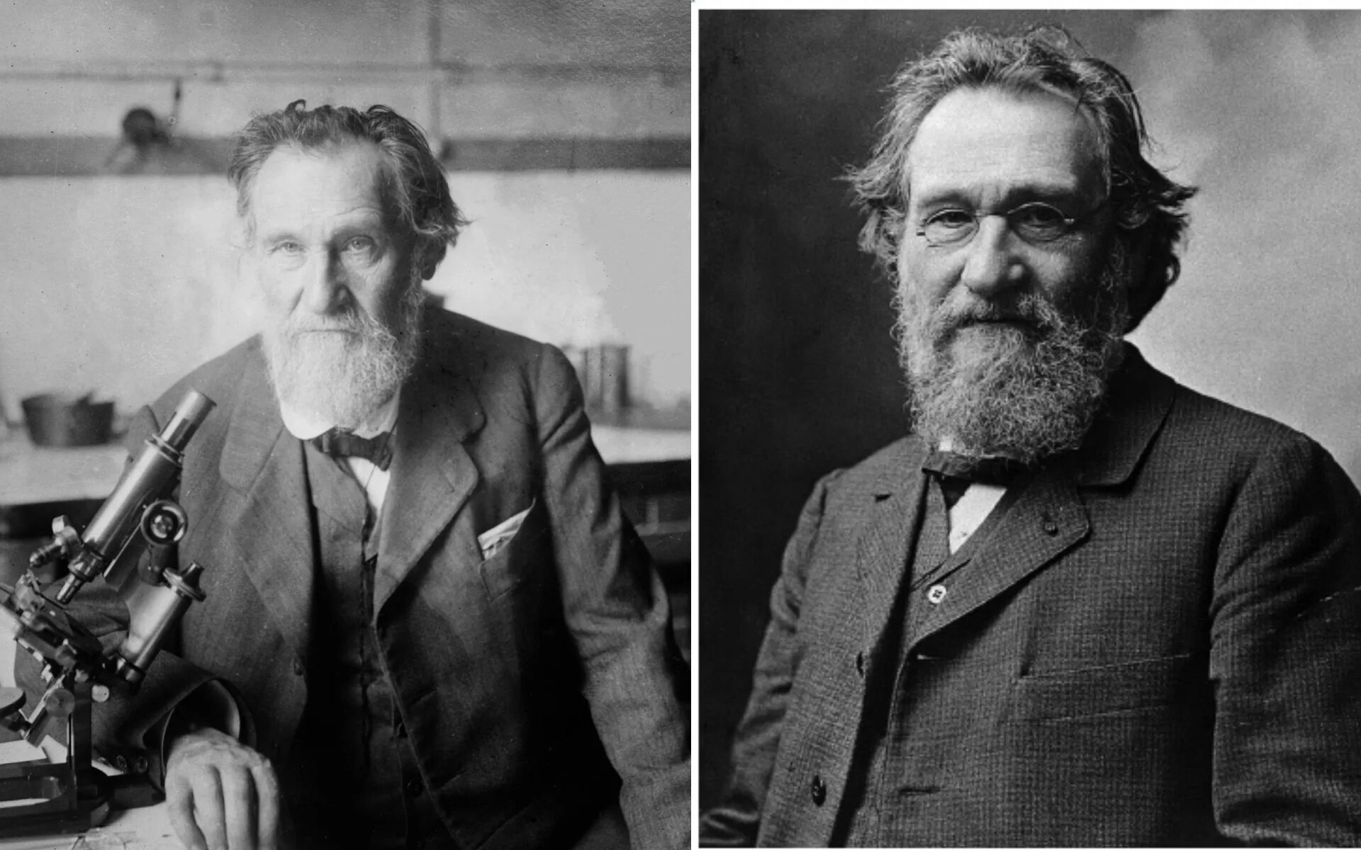 русский ученый мечников создавший. русский ученый мечников создавший. (1845-1916). илья ильич мечников (1845-1916 гг. мечников илья ильич вклад.