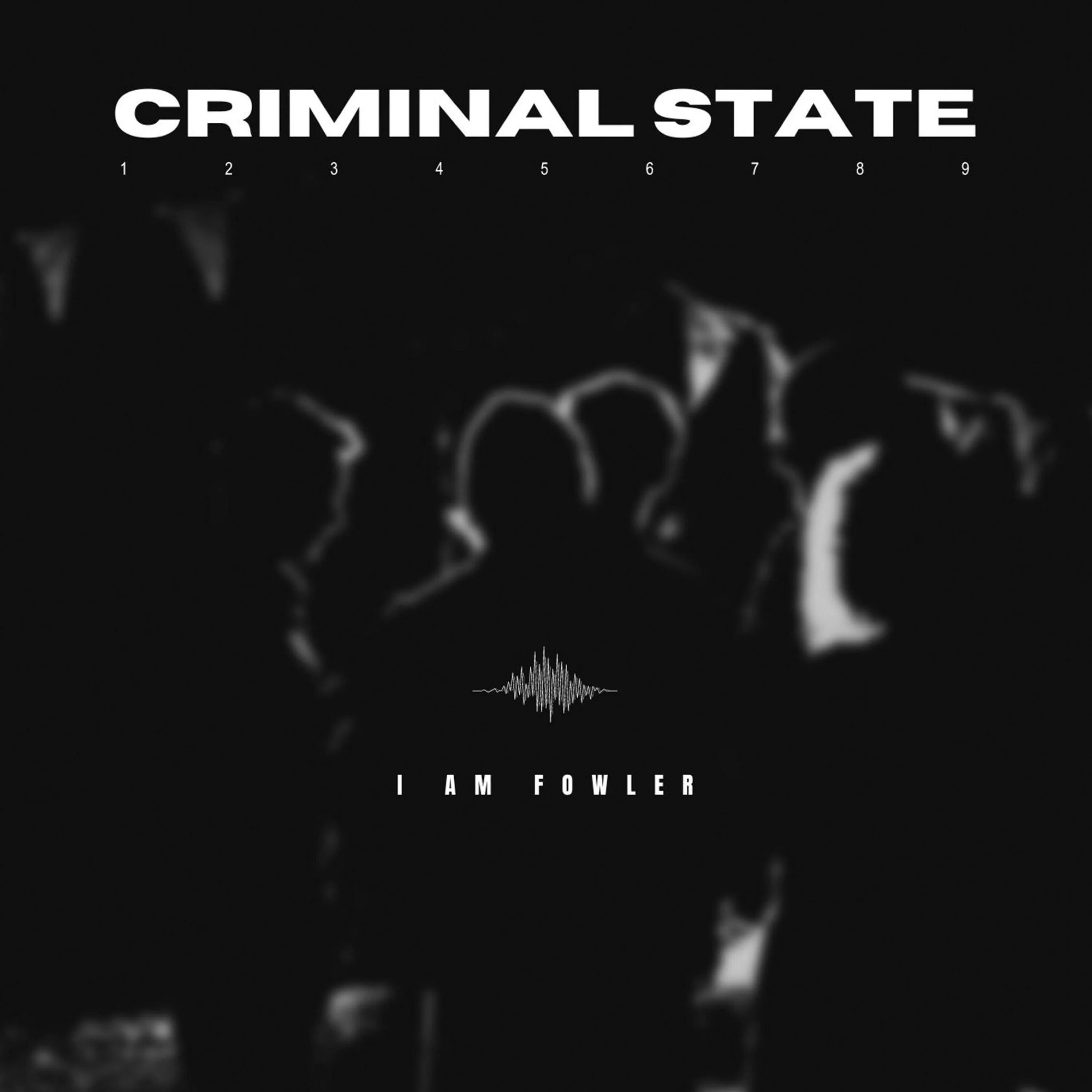 Criminal State. Criminal State дискография. Criminal State обложка альбома. Criminal State - мотивы неугасающей ненависти.