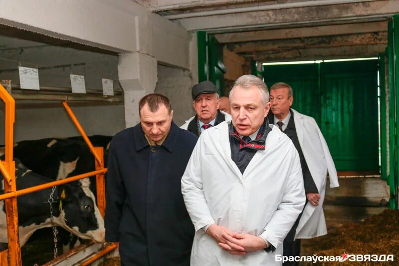 Спк маяк. Спк маяк браславский работники.