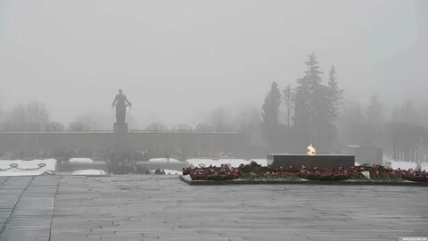 Пискаревка сегодня