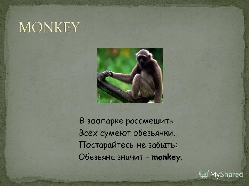 обезьяны не слышу не вижу. обезьяна обозначает. обезьяна как забыть. три мартышки. три обезьяны символ.