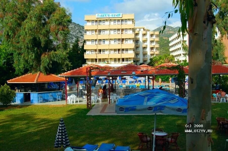 Blue fish hotel 4 турция аланья. Отель Blue Fish 4 Турция. Блю Фиш Турция Аланья. Блю Фиш отель Турция Аланья 4. Турция отель голубая рыба.