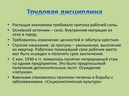 Трудовая дисциплина заключение