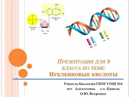 Презента 4