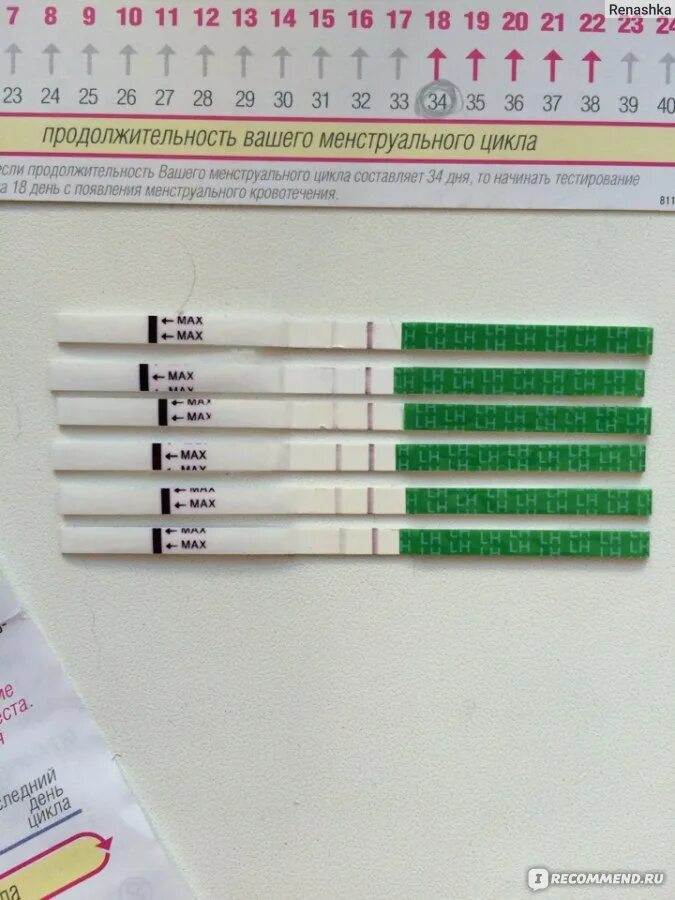 Тест на овуляцию форум отзывы. Эвиплан тест на овуляцию. Тест на овуляцию Eviplan. Тест на овуляцию mama Test. Результаты теста на овуляцию.