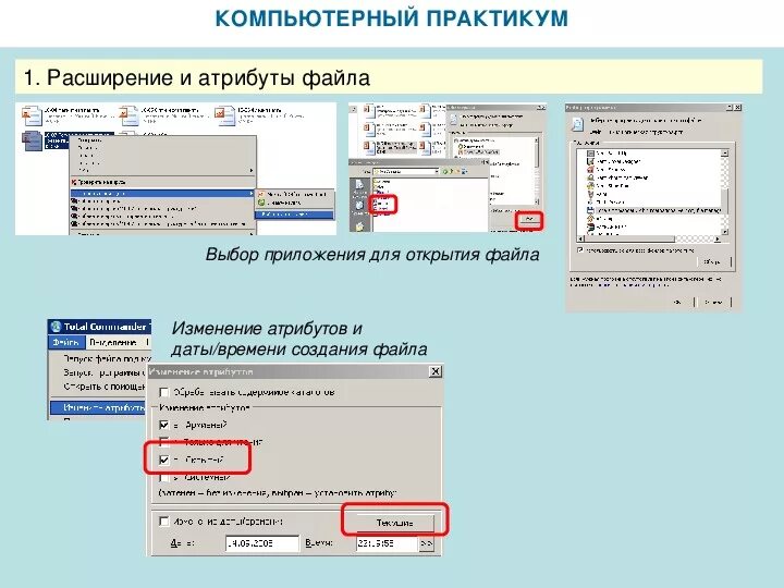 Информатика 7 9 компьютерный практикум. Файлы для компьютерного практикума. Изменение атрибутов файлов приложение. Расширение 001. Информация о программе.