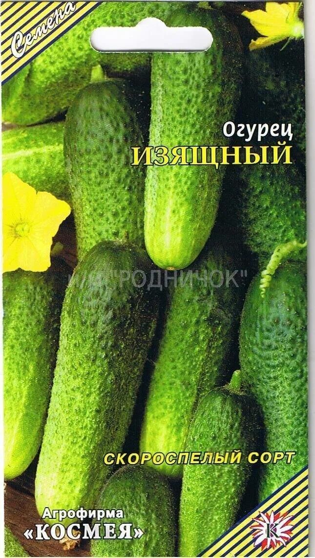 Семена Огурец Изящный 0,5г Сембат 147856000 купить за 66 ₽ в интернет-магазине W