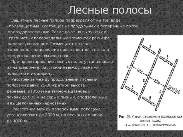 Какие из следующих высказываний верны создание полезащитных
