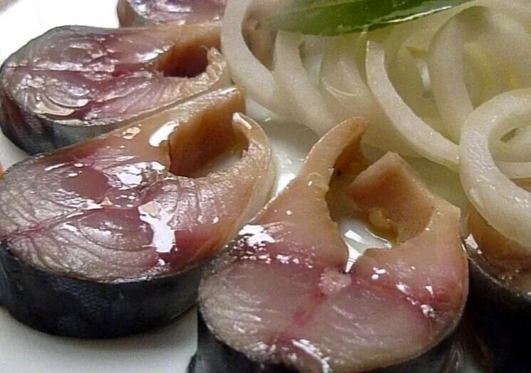 Вкусный рецепт посола скумбрии