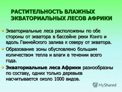 Экваториальные леса географическое положение